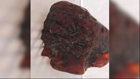 A pedra que servia de escora.